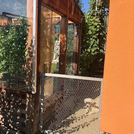 Millies Hosting - Familienurlaub Mit Hund In Kaernten Διαμέρισμα *