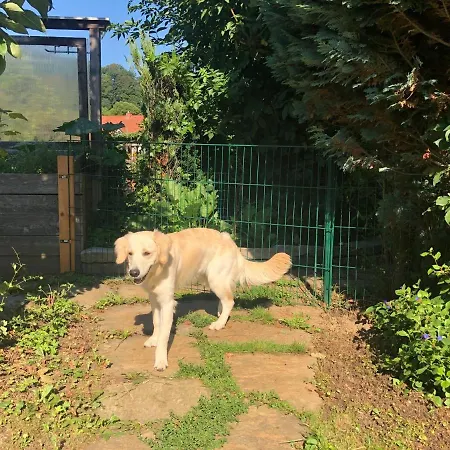 Millies Hosting - Familienurlaub Mit Hund In Kaernten Apartmán *