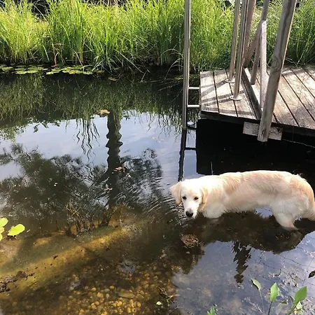 Διαμέρισμα Millies Hosting - Familienurlaub Mit Hund In Kaernten *