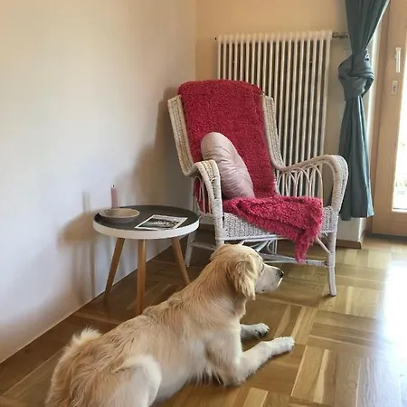 Millies Hosting - Familienurlaub Mit Hund In Kaernten *