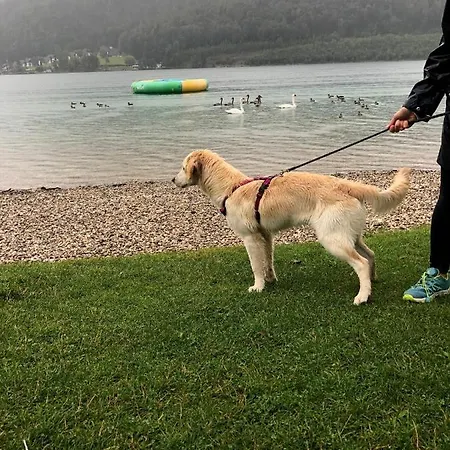 דירה Millies Hosting - Familienurlaub Mit Hund In Kaernten Sankt Paul im Lavanttal
