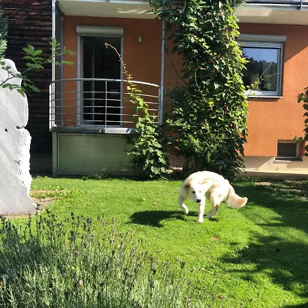 דירה Millies Hosting - Familienurlaub Mit Hund In Kaernten