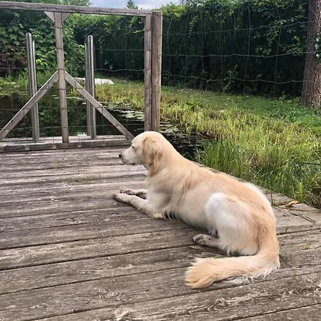 Διαμέρισμα Millies Hosting - Familienurlaub Mit Hund In Kaernten *