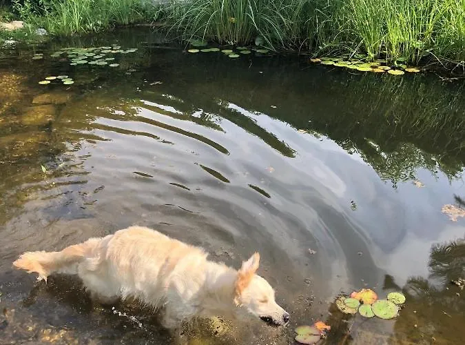 Millies Hosting - Familienurlaub Mit Hund In Kaernten Apartament Sankt Paul im Lavanttal