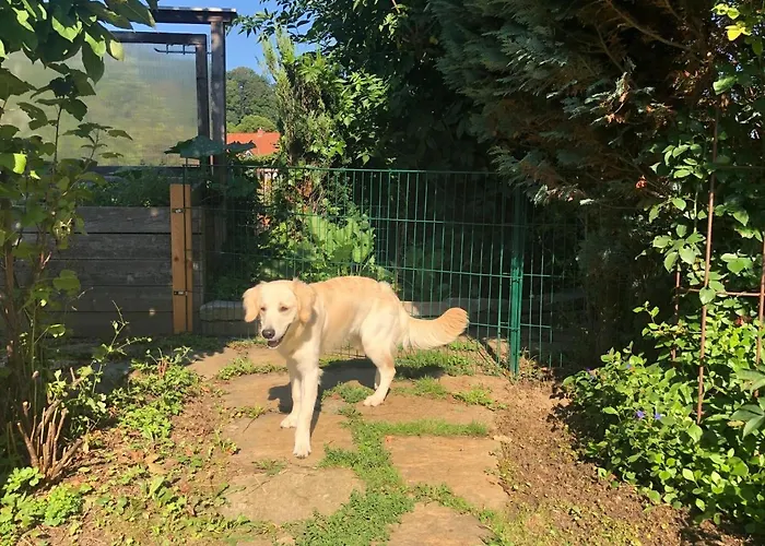 Millies Hosting - Familienurlaub Mit Hund In Kaernten Lägenhet *