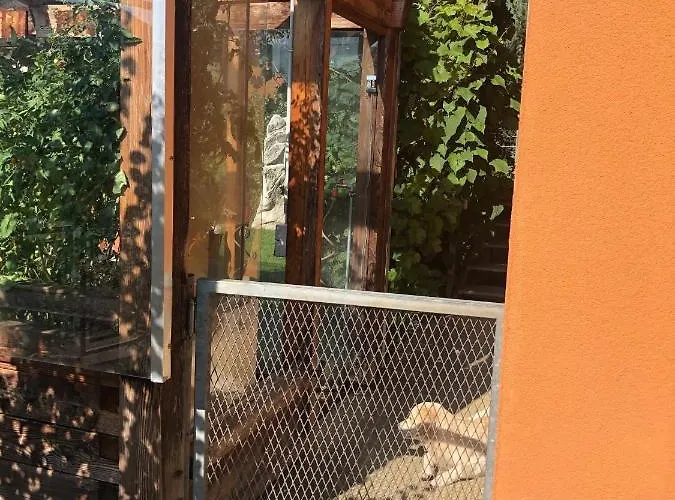 Millies Hosting - Familienurlaub Mit Hund In Kärnten