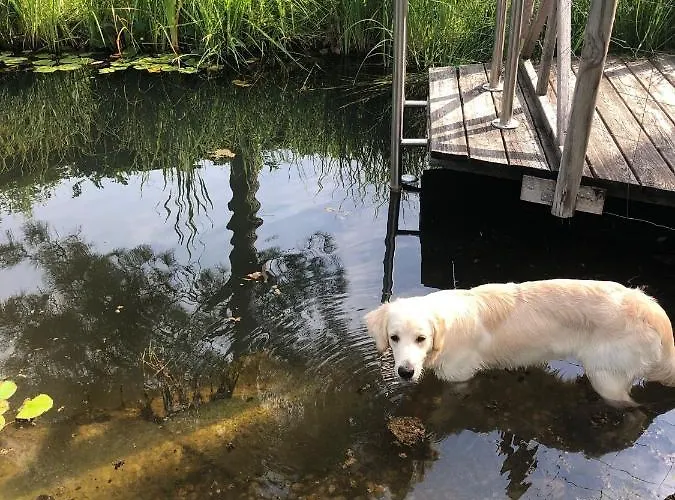 Lägenhet Millies Hosting - Familienurlaub Mit Hund In Kaernten *