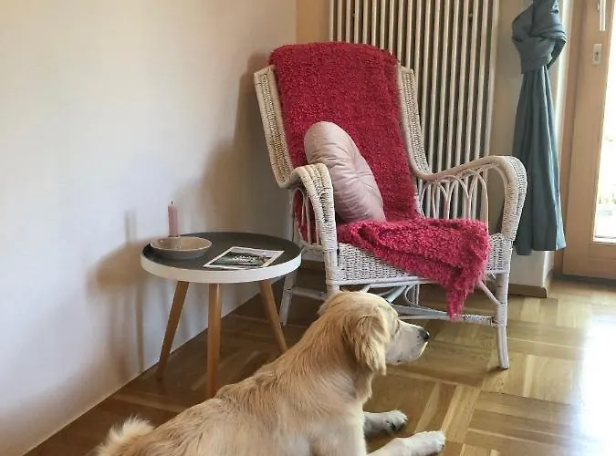 Millies Hosting - Familienurlaub Mit Hund In Kärnten *