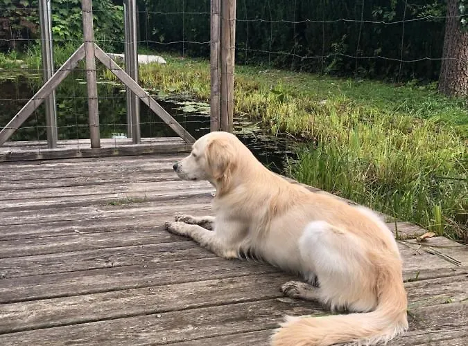 Apartament Millies Hosting - Familienurlaub Mit Hund In Kaernten *